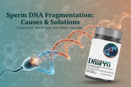 Sperm DNA Fragmentation: Causes & Solutions – The Complete Guide to Male Fertility
