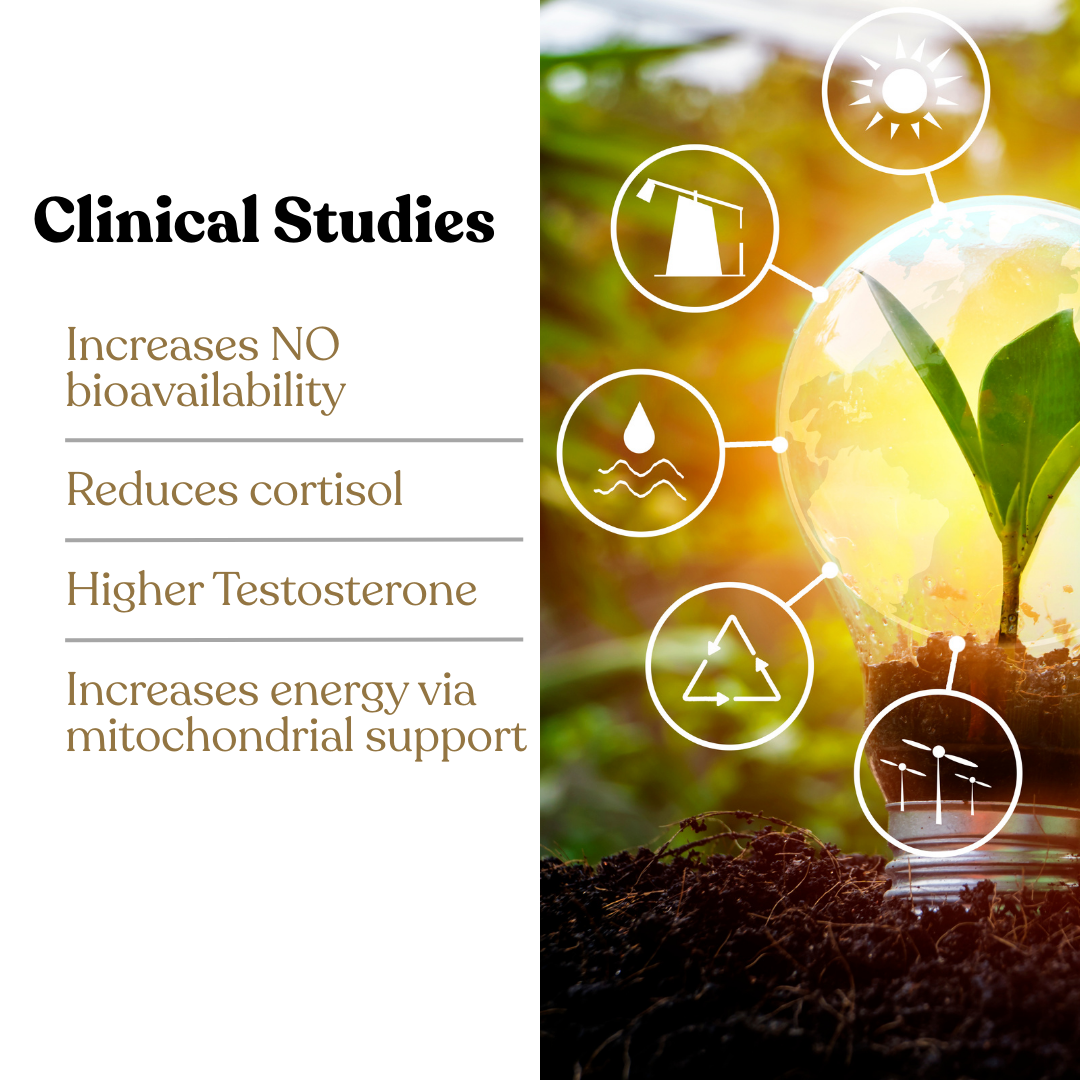 ARGIKAMA – Vitality & Performance Formula for Men