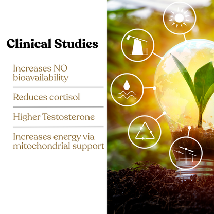 ARGIKAMA – Vitality & Performance Formula for Men