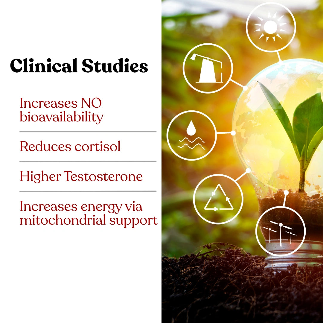 ARGIKAMA – Vitality & Performance Formula for Men