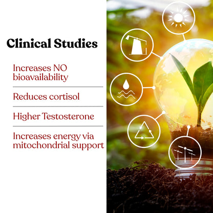 ARGIKAMA – Vitality & Performance Formula for Men