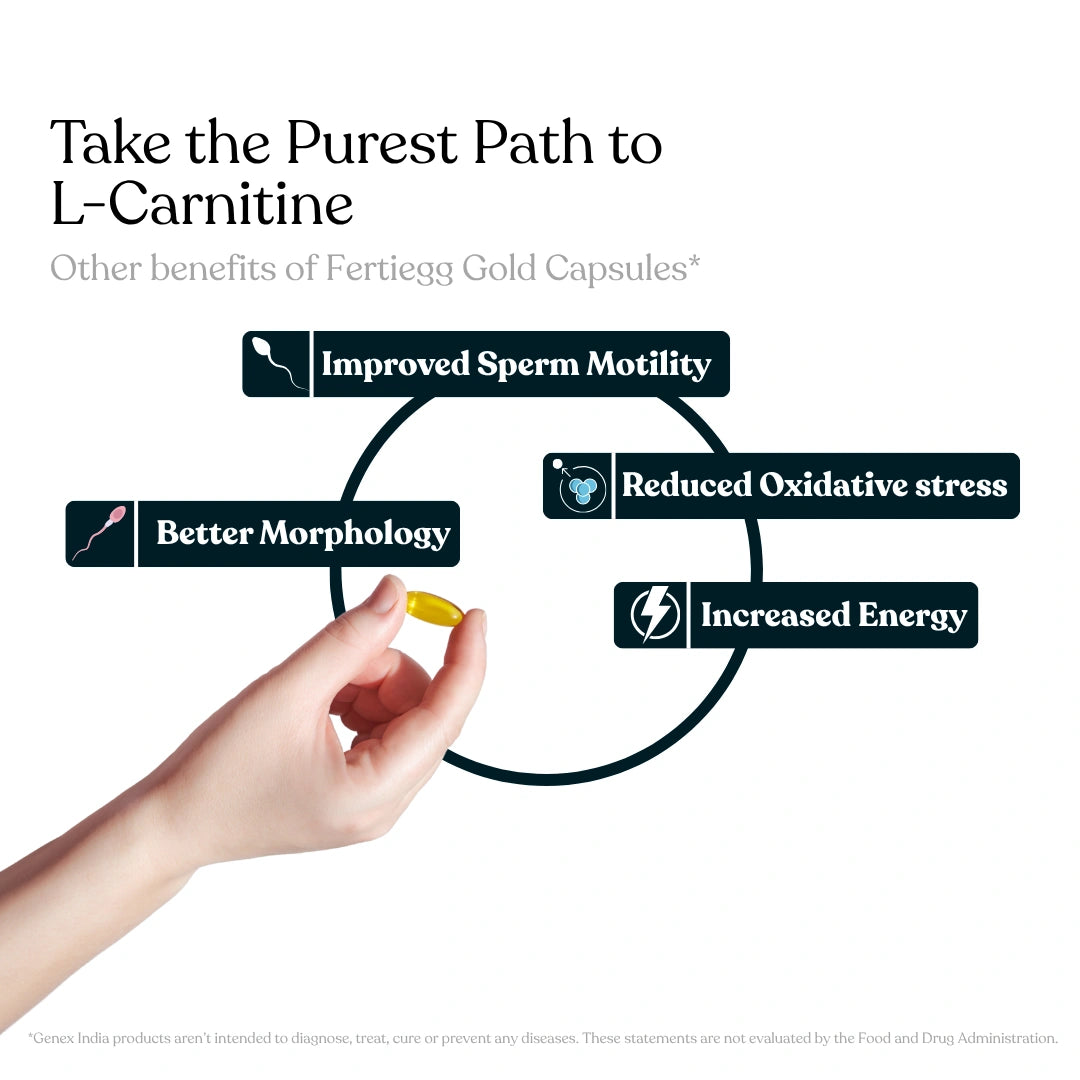 l-carnitine effects on sperm effects of l carnitine on sperm COQ10 For Sperm Health